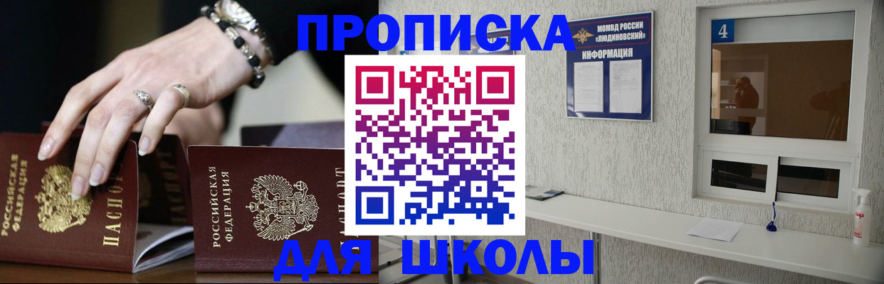 пропишу в квартире в Видном